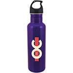 Bolt Stainless Steel Bottle - Purple