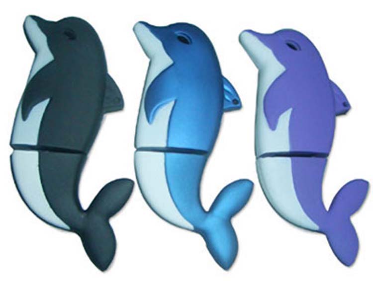 Dolphin USB Key