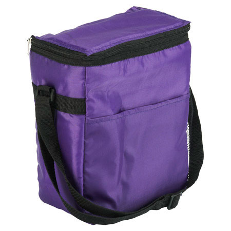 Artic Thrill 12 Pack Cooler Bag - Purple