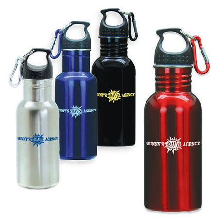 Stainless Steel Water Bottle with Carabiner 16 oz