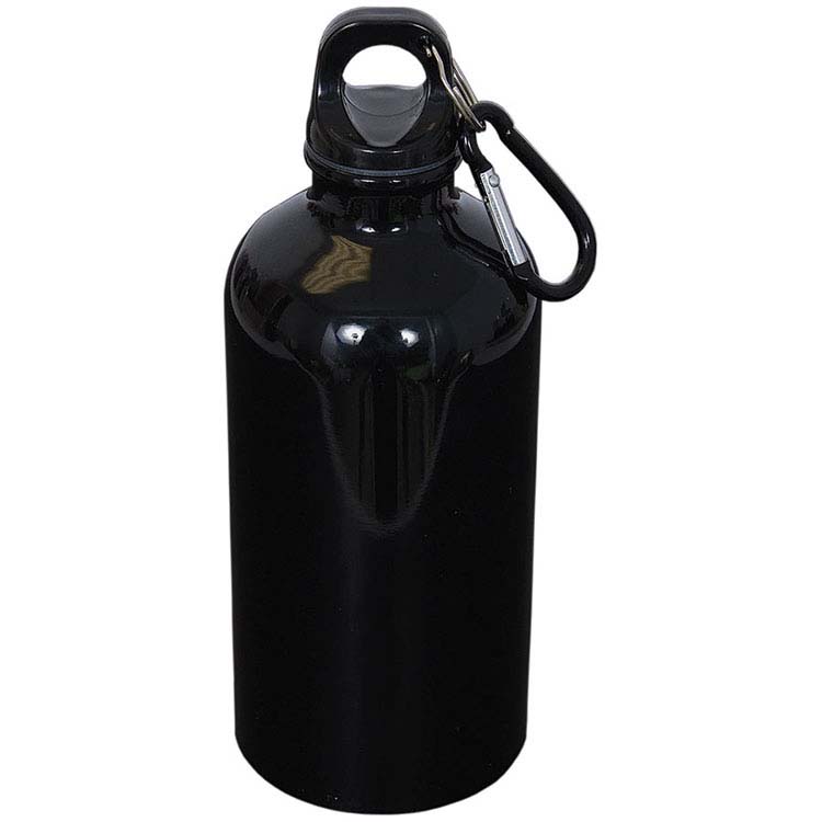Stainless Steel Water Bottle with Carabiner 16 oz