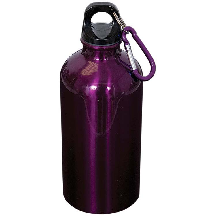 Stainless Steel Water Bottle with Carabiner 16 oz #4