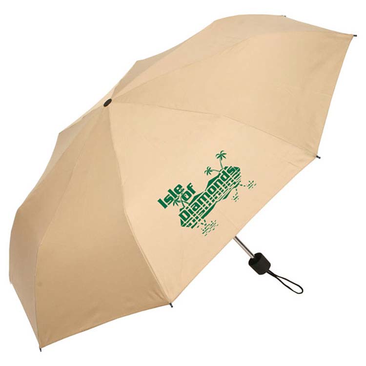 Spring Breeze Folding Umbrella #3