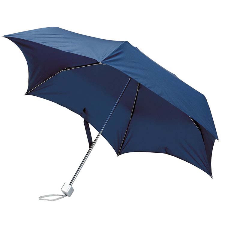 Petit parapluie 43" avec étui argenté #2