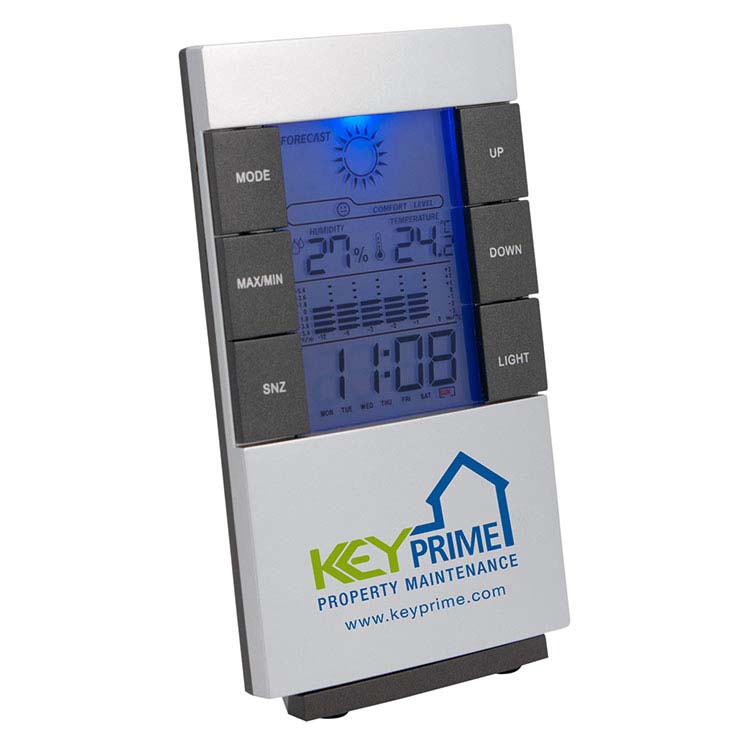 Station météo sur pied #2