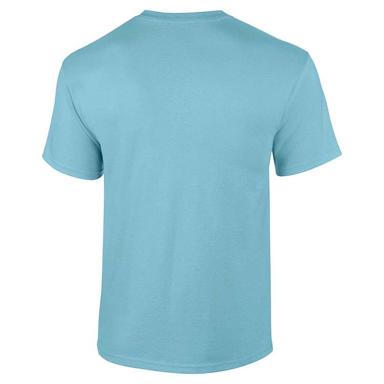 T-shirt Gildan 2000 pour adulte - Bleu ciel #5
