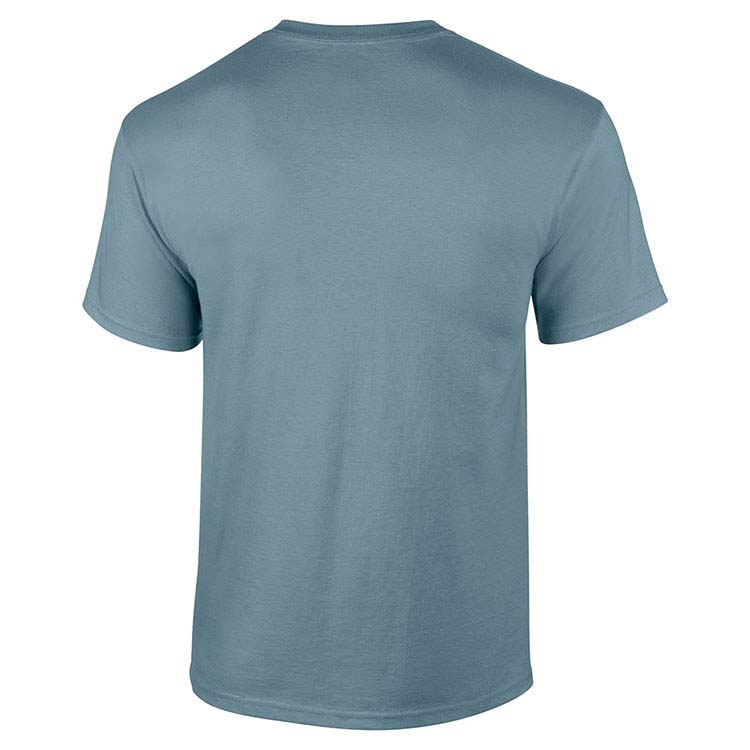 Classic Fit Adult T-Shirt Gildan 2000 - Stone Blue #5