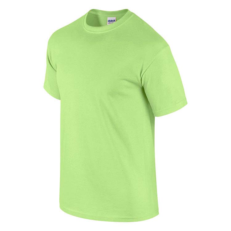 Classic Fit Adult T-Shirt Gildan 2000 - Mint Green #4