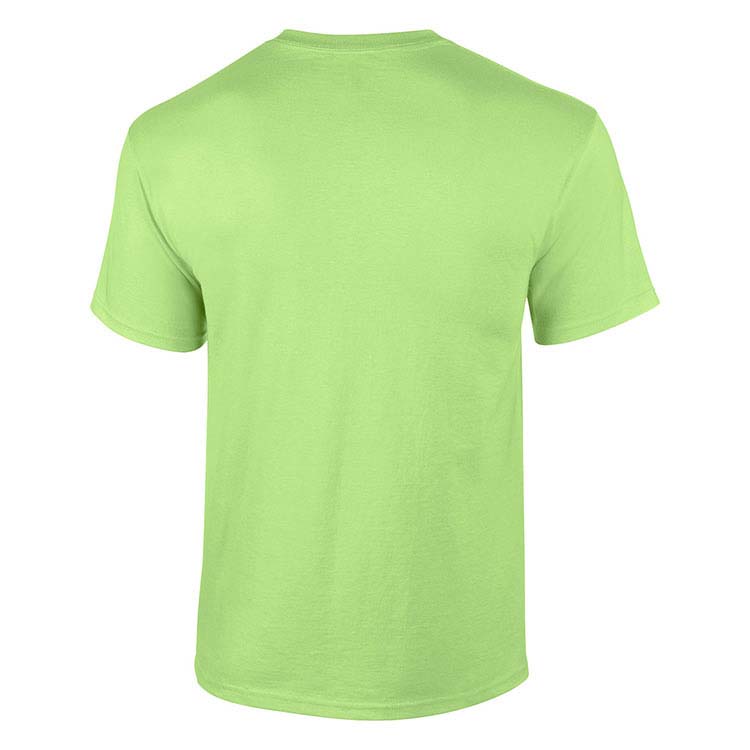 T-shirt Gildan 2000 pour adulte - Vert menthe #5