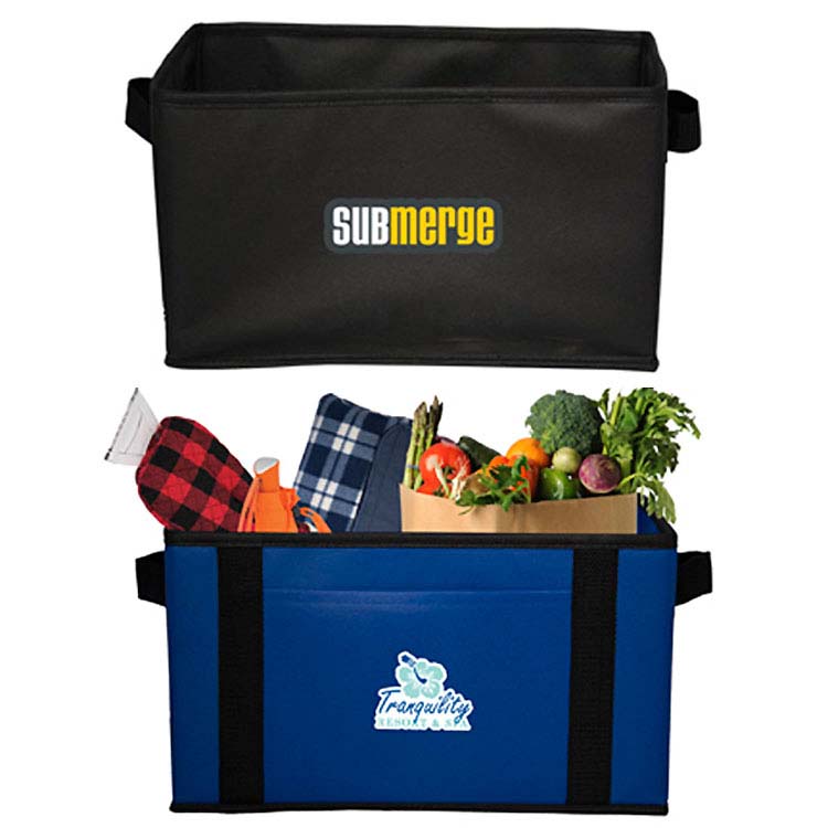 Organisateur pour coffre d'auto