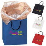 Non-Woven Polypropylene Gift Bag