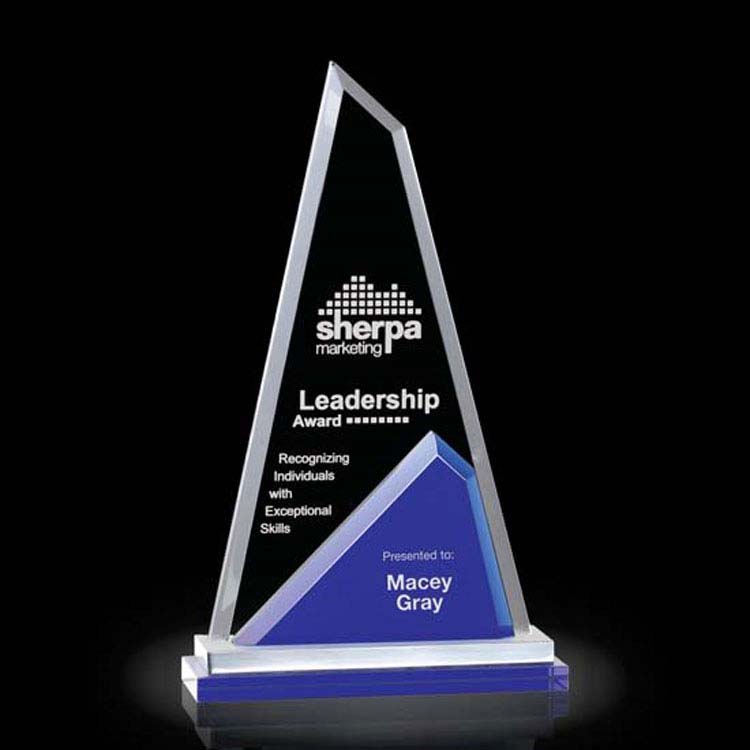 Trophée Shaftsbury #2