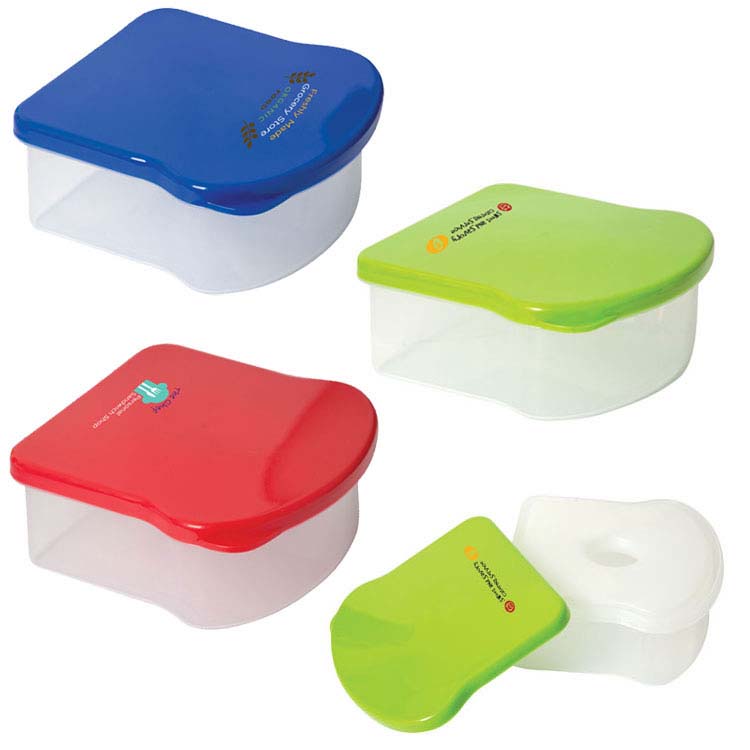 Sandwich Container with Ice Pack