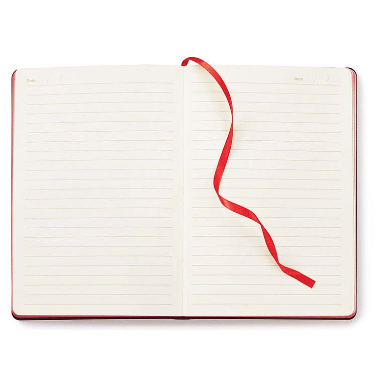 Journal avec couverture souple Donald #2