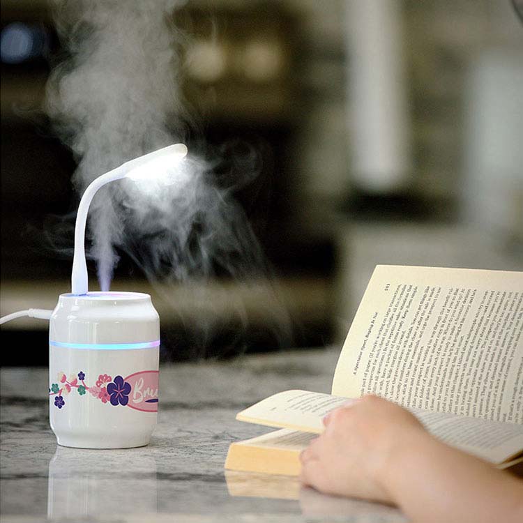 Brume Mini Humidifier #2