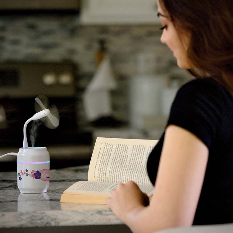 Brume Mini Humidifier #3