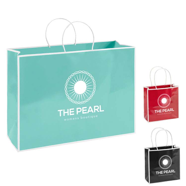 Large Boutique Shopping Bag