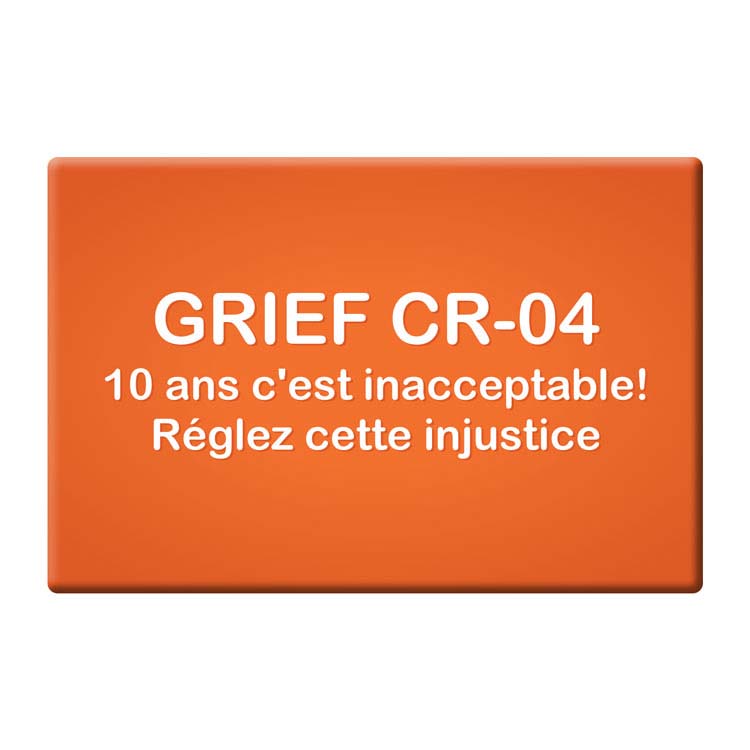 Macaron rectangulaire 3" x 2"