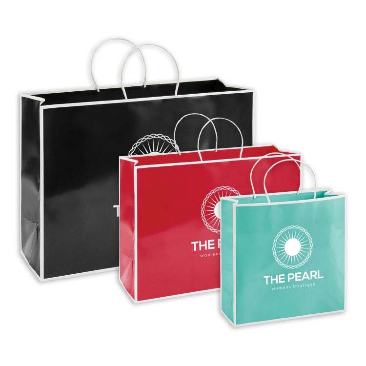 Small Boutique Shopping Bag #2