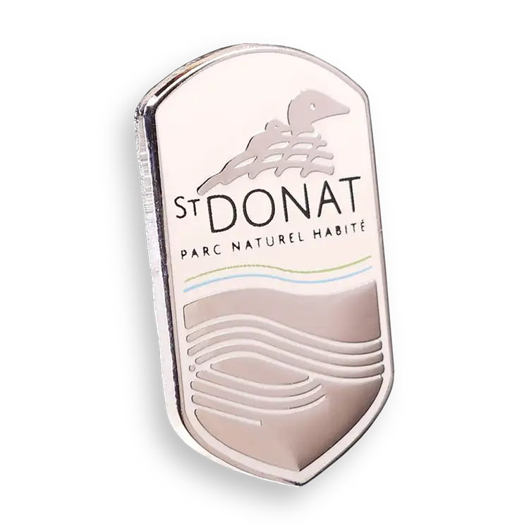 Cloisonne Pin with Print