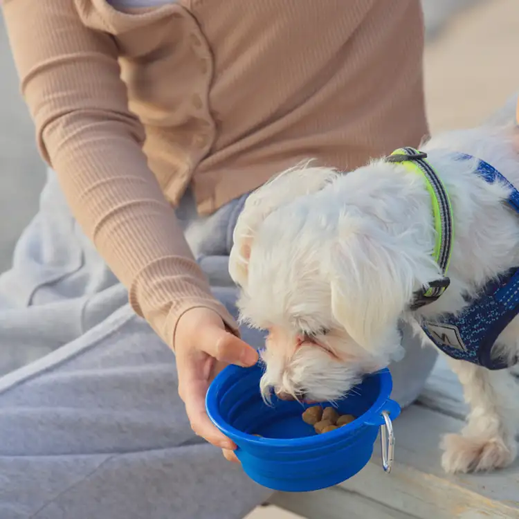 Feed 'N Go Collapsible Pet Bowl with Carabiner #4