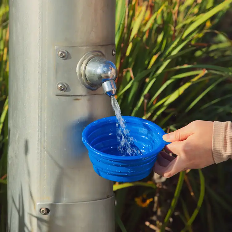 Feed 'N Go Collapsible Pet Bowl with Carabiner #5