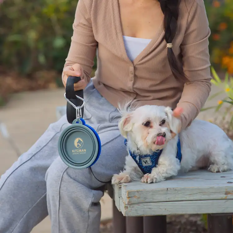 Feed 'N Go Collapsible Pet Bowl with Carabiner #6