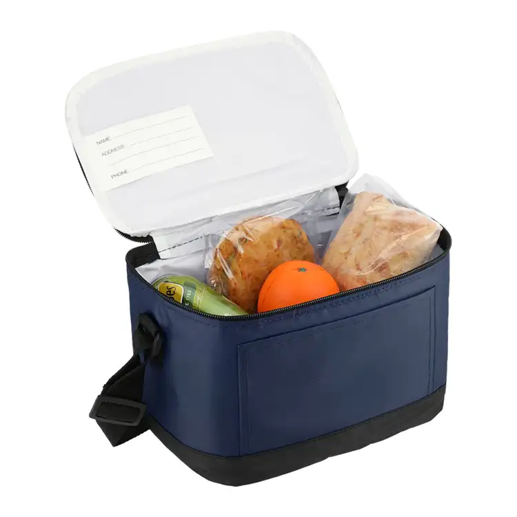 Classic Insulated 6-Can Cooler Lunch Bag #10