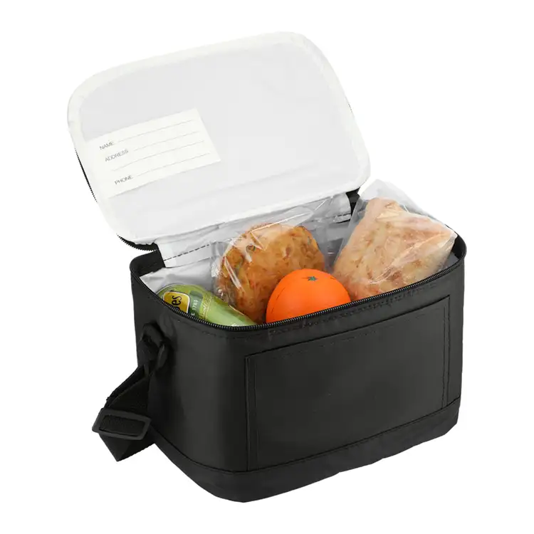 Classic Insulated 6-Can Cooler Lunch Bag #4