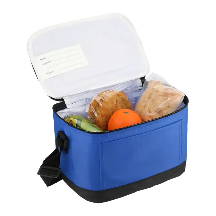 Classic Insulated 6-Can Cooler Lunch Bag #7