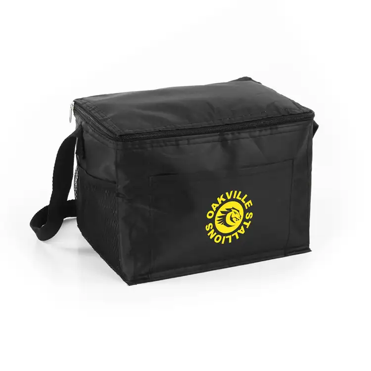 Budget Cooler Bag #2