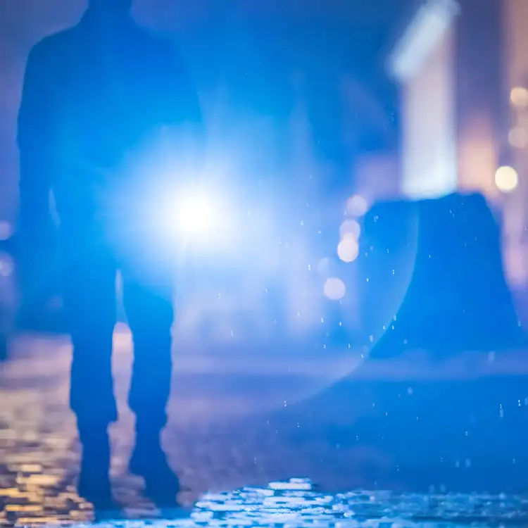 Best Buddy Tools Carabiner Alarm LED Key Light #5