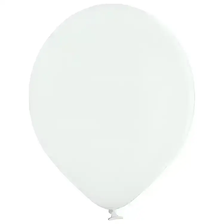 9" Premium Latex Balloon #2