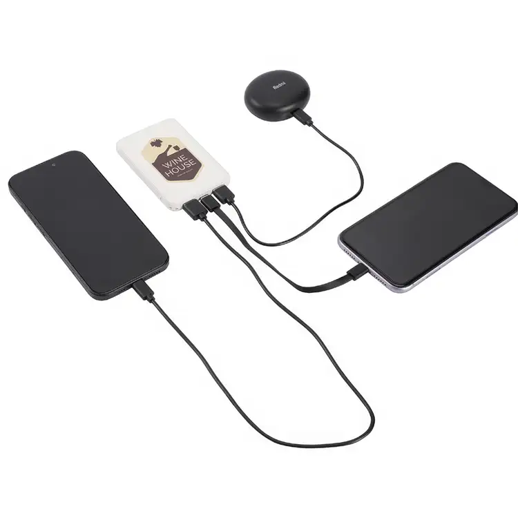 Batterie externe Pavilion 5000 mAh #5