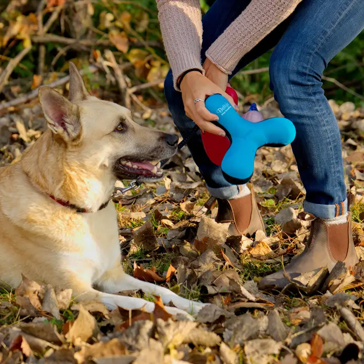Toss-N-Float Dog Toy #2