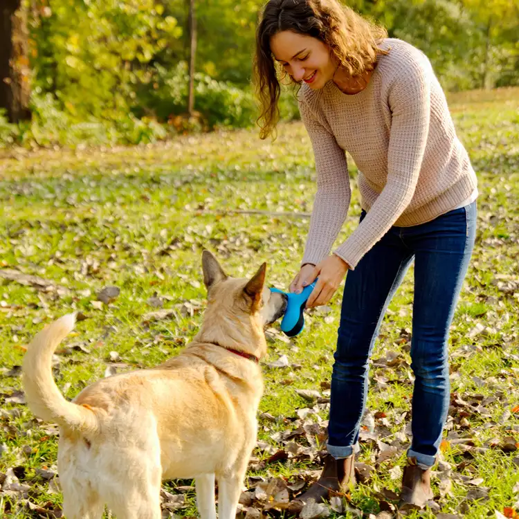 Toss-N-Float Dog Toy #3