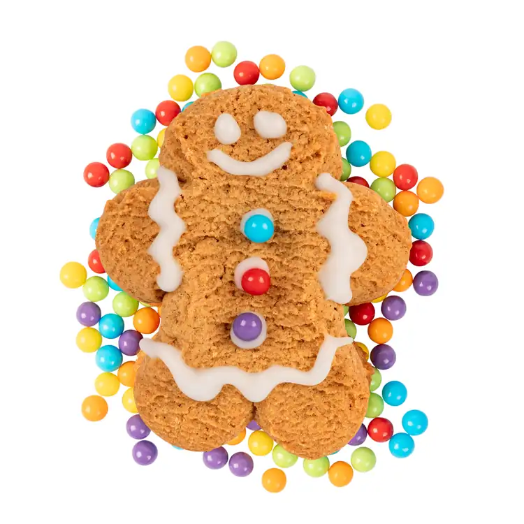 Gingerbread Decorating Workshop #4
