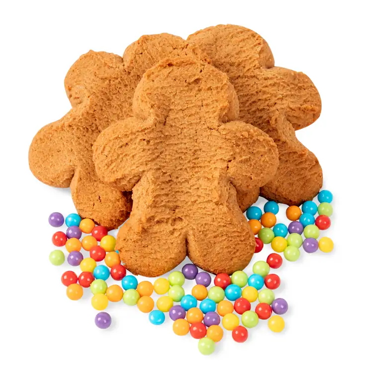 Gingerbread Decorating Workshop #6