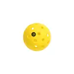Balle de pickleball Wilder à 40 trous