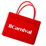 Boîte de menthes en forme de sac magasinage - Rouge