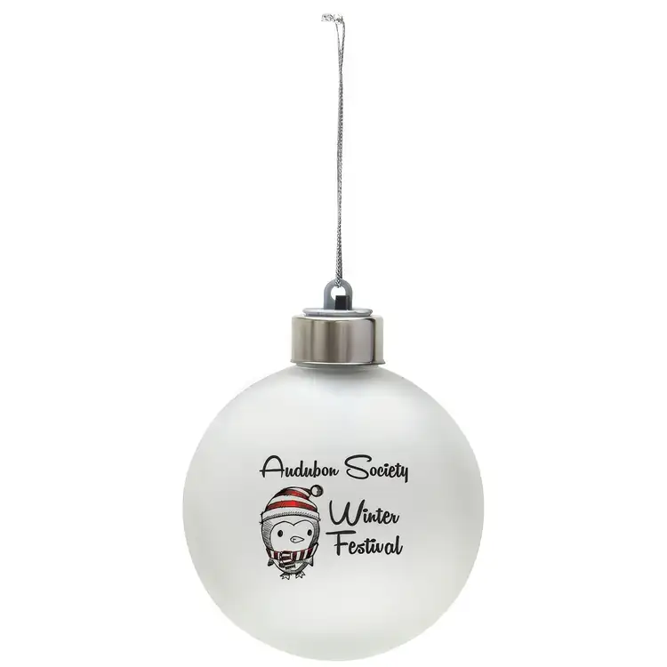 Light-Up Shatter Resistant Ornament #5