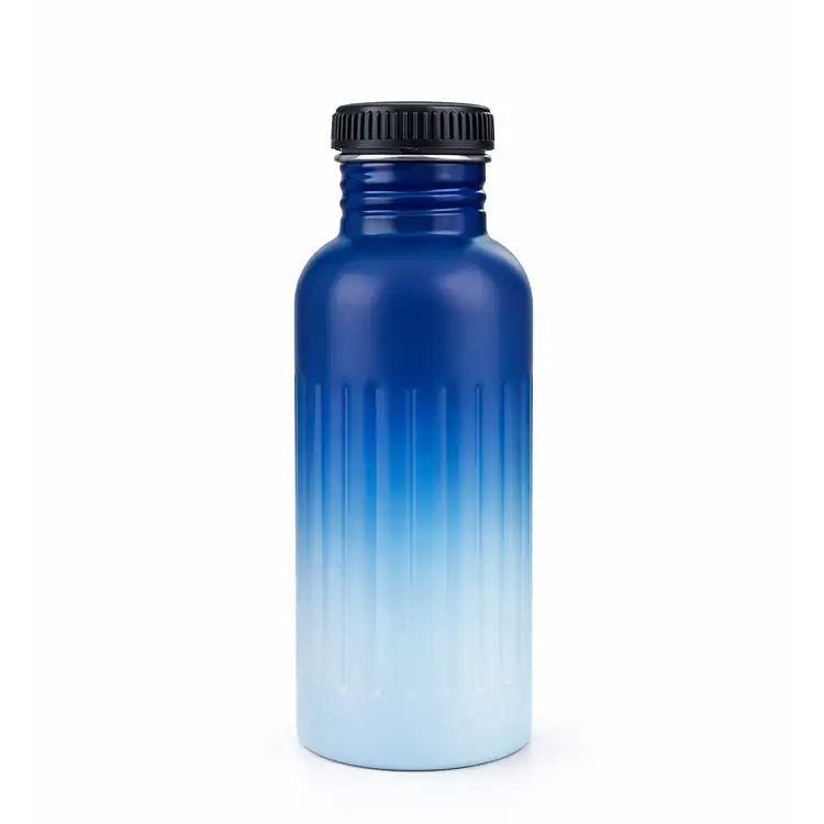 Bouteille 18 oz en acier inoxydable à couleur changeante