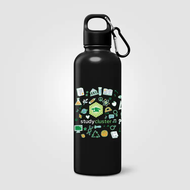 Portland Plus Recycled Stainless Steel Bottle 25 oz #7