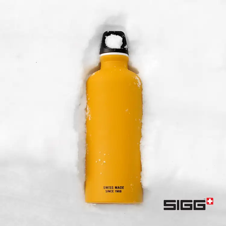 SIGG Classic Traveller Bottle 20 oz #22