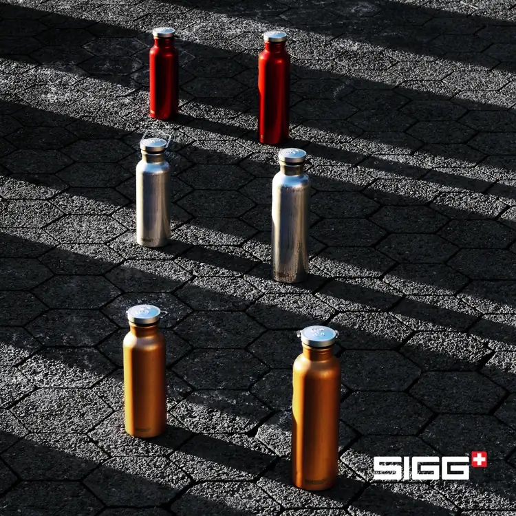 SIGG Original Bottle 17 oz #10