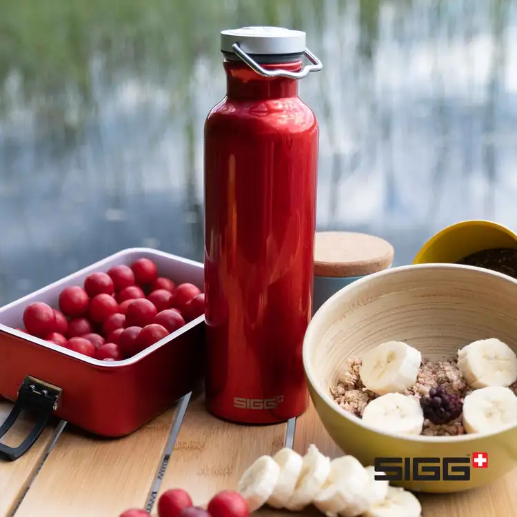 SIGG Original Bottle 17 oz #7