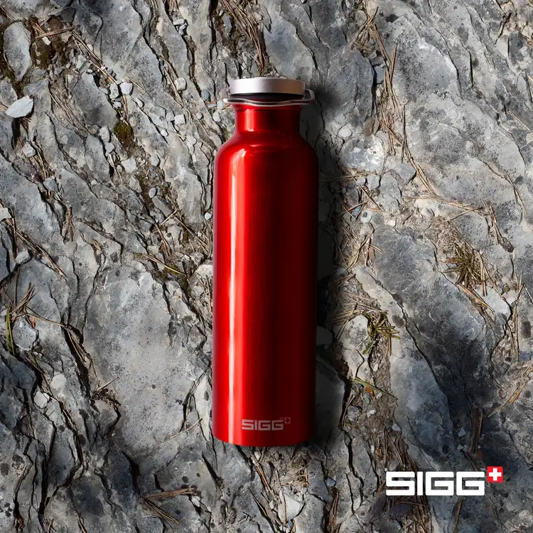SIGG Original Bottle 25 oz #12