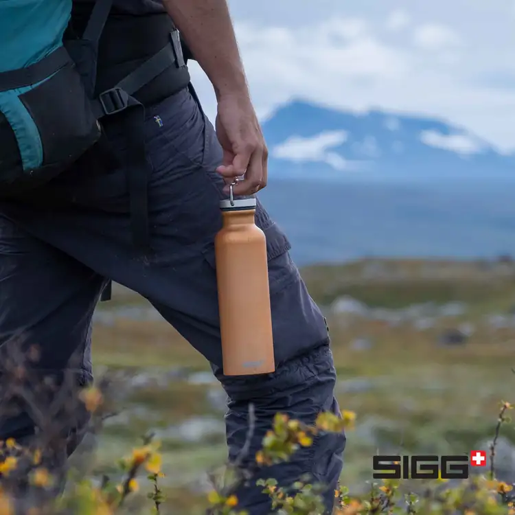 SIGG Original Bottle 25 oz #13