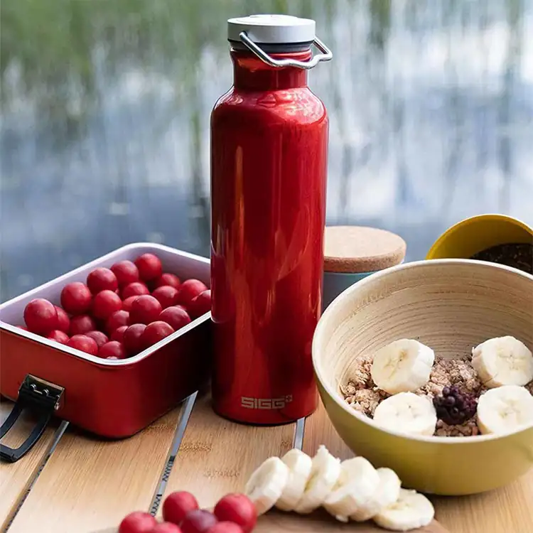 SIGG Original Bottle 25 oz #8