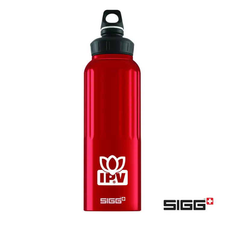 SIGG WMB Classic Traveller Mountain Bottle 51 oz #4